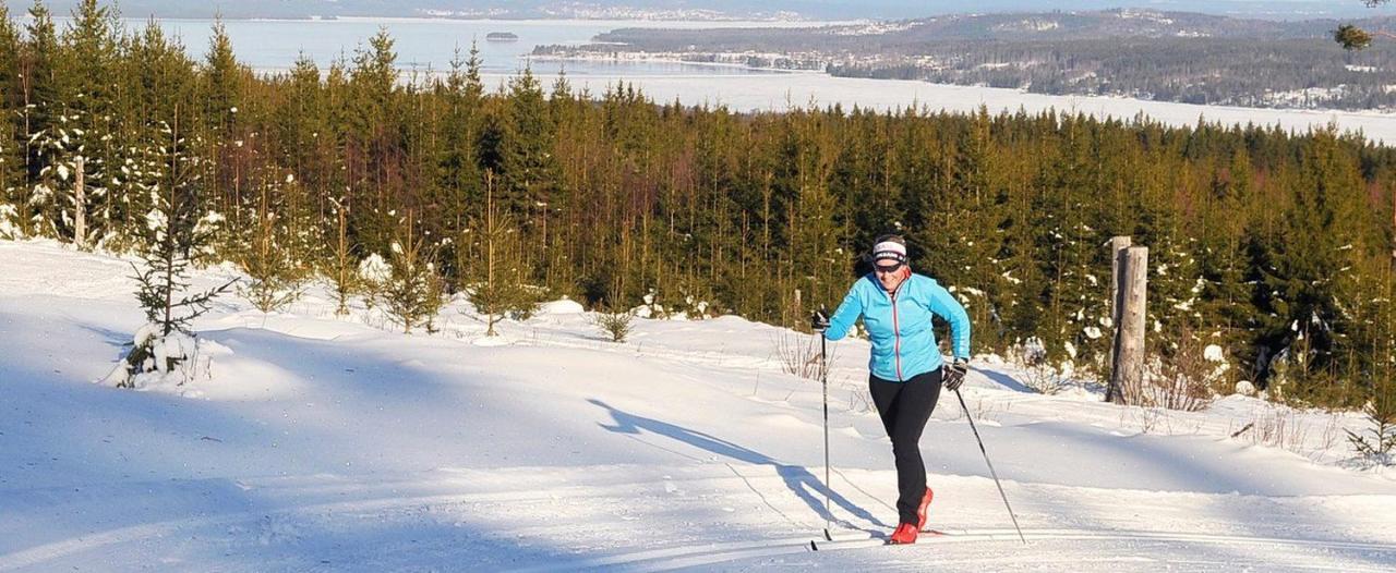 Hotell Moskogen Leksand Dış mekan fotoğraf