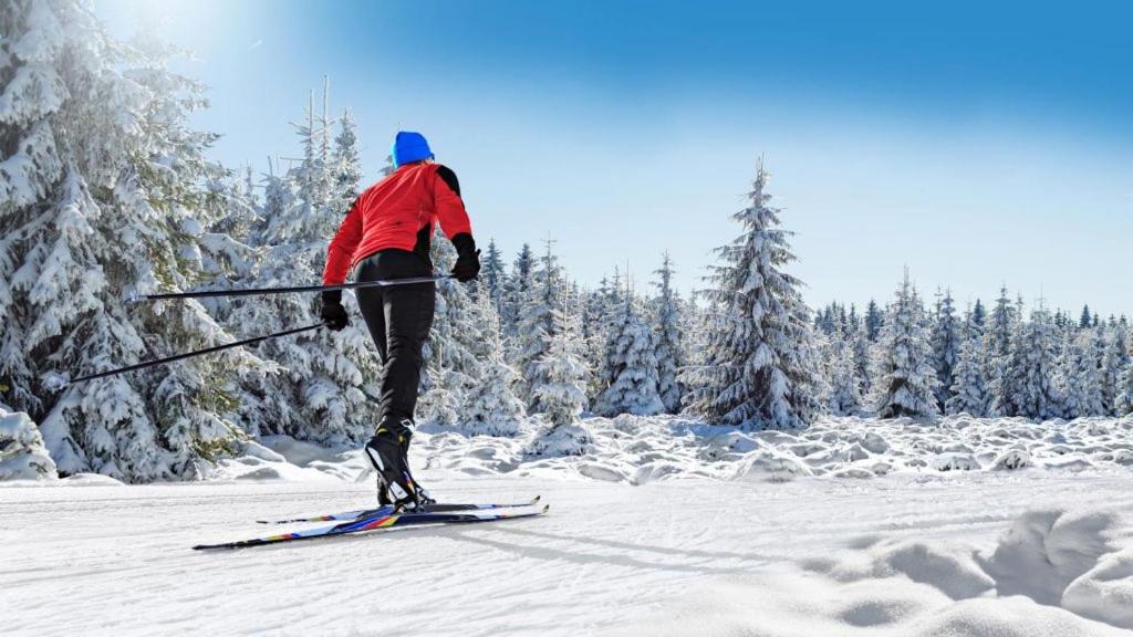 Hotell Moskogen Leksand Dış mekan fotoğraf